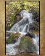 Hooves on the Mesa | Photography on Natural Slate