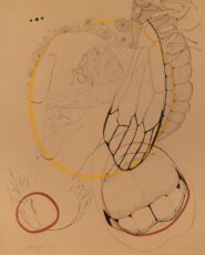 Us  Group Exhibition – 5th Biennial